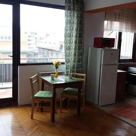 Apartment City Center 3 Timisoara